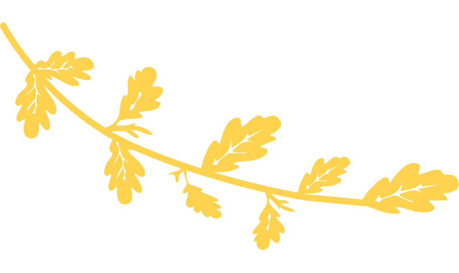 Gold Oak Tree Branch