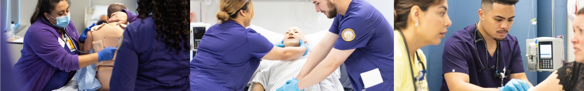 Bachelor of Science in Nursing (BSN)