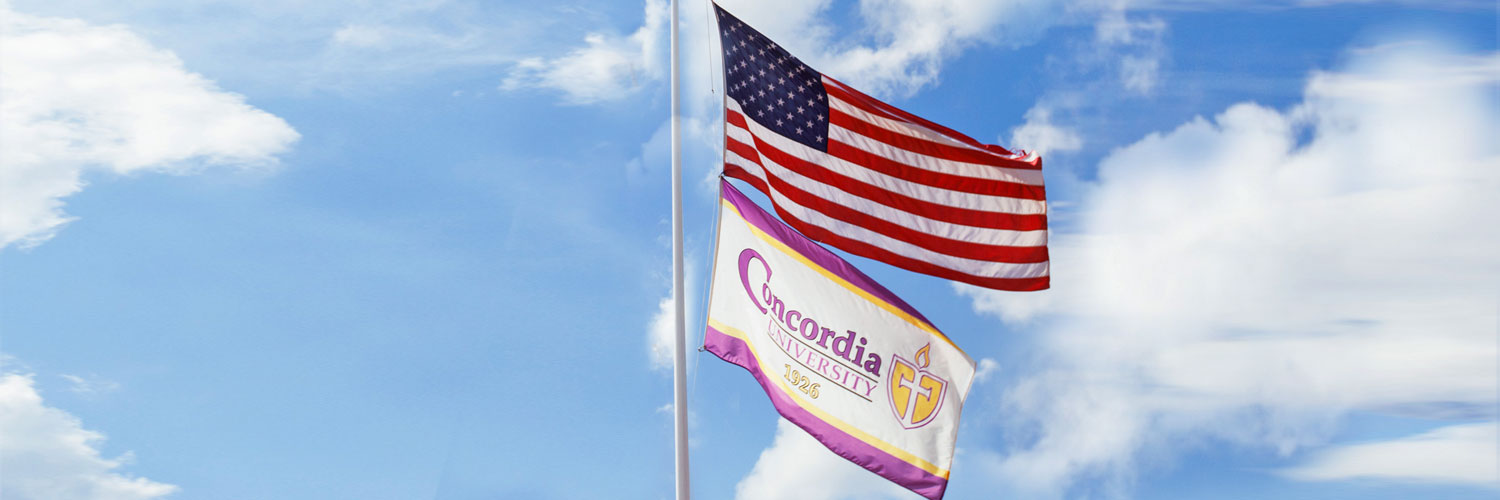 5 Facts About Veterans Day | Concordia University Texas