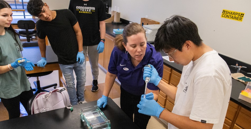 Students working in lab